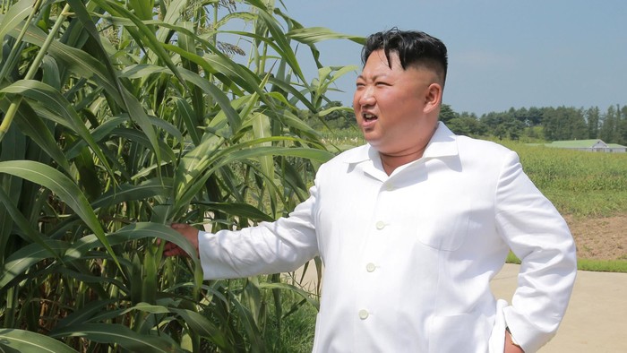 Nhà lãnh đạo Kim Jong-un thị sát tại một nông trường ngày 13/8, ảnh: Reuters.