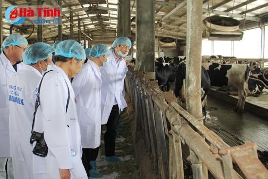 Ngày 26/5/2017, Đoàn lãnh đạo Ủy ban nhân dân tỉnh Hà Nam do Phó chủ tịch Trương Minh Hiến dẫn đầu, tới tham quan mô hình nuôi bò sữa của Vinamilk tại Hà Tĩnh, ảnh: baohatinh.vn.