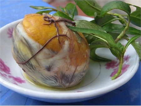 1. Trứng vịt lộn: Trứng vịt lộn hay hột vịt lộn là món ăn được chế biến từ quả trứng vịt khi phôi đã phát triển thành hình. Trứng vịt lộn là một trong những món ăn nhẹ bình dân ở Việt Nam... và là món ăn bổ dưỡng.