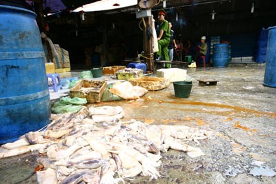 "Mực bẩn" được chế biến tại chợ đầu mối Long Biên, Hà Nội (Ảnh: Dân trí).