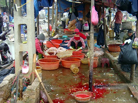 Nơi giết mổ gia cầm ở chợ Văn La luôn nhếch nhác vì bẩn.(Ảnh Lao động)