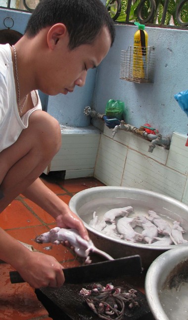 Tuy nhiên ở Việt Nam, thịt chuột cống có thể chế biến thành nhiều món ăn, thậm chí ở nhiều vùng nó còn là một đặc sản đắt tiền.