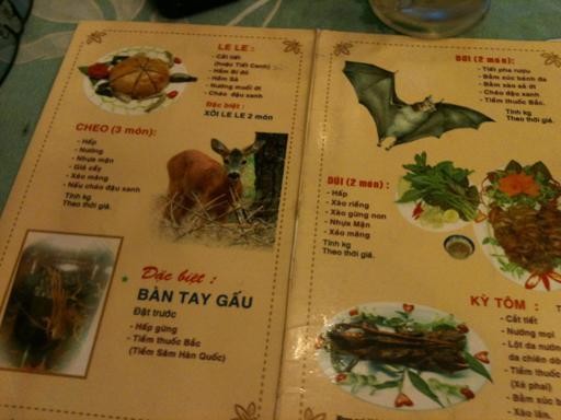 Đây là menu ở một quán nhậu chuyên "đặc sản rừng” như: rắn hổ mang bành, rắn hổ mang chúa, bàn tay gấu, trút, chồn, heo rừng, nhím, cheo cheo, le le, dúi, dơi, kỳ tôm.. Ảnh TT&VH.