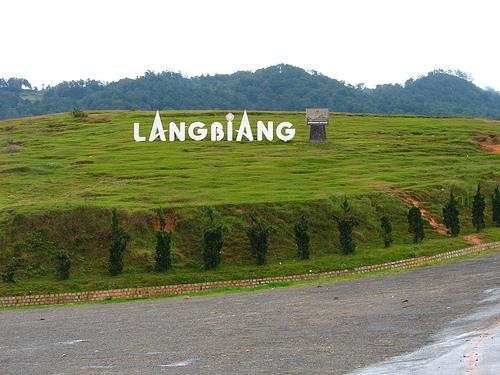 Bạn nào thích leo núi thì sẽ có cuộc thi Chinh phục đỉnh Langbiang đang chờ các bạn đó. Với độ cao 2.167m, đỉnh Langbiang là điểm đến mà chắc hẳn các bạn ưa mạo hiểm muốn chinh phục! Còn chờ gì nữa, nhanh chân đăng kí thôi! Thời gian là từ 1/1 đến 3/1/2012 tại núi Langbiang.