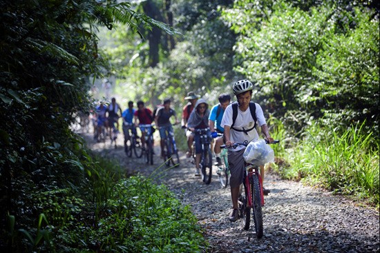 Đoàn xe đạp của câu lạc bộ Hành trình xanh đổ đèo Hải Vân trong chuyến đạp xe xuyên Việt