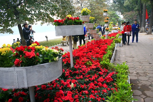 Ngoài ra, các trục đường bao quanh hồ Gươm như Lê Thái Tổ, Lê Thạch sẽ trưng bày hoa với chủ đề Hoa với cuộc sống thường nhật. Đặc biệt, sen sẽ được chọn làm sân khấu hoa tại khu vực tượng đài Lý Thái Tổ. Buổi khai mạc sẽ diễn ra lúc 20g ngày 30-12-2011 và lễ hội hoa kết thúc ngày 2-1-2012.