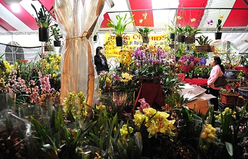 Một góc chợ hoa Tết ở thương xá Phước Lộc Thọ, Little Saigon, Los Angeles (ảnh vne)