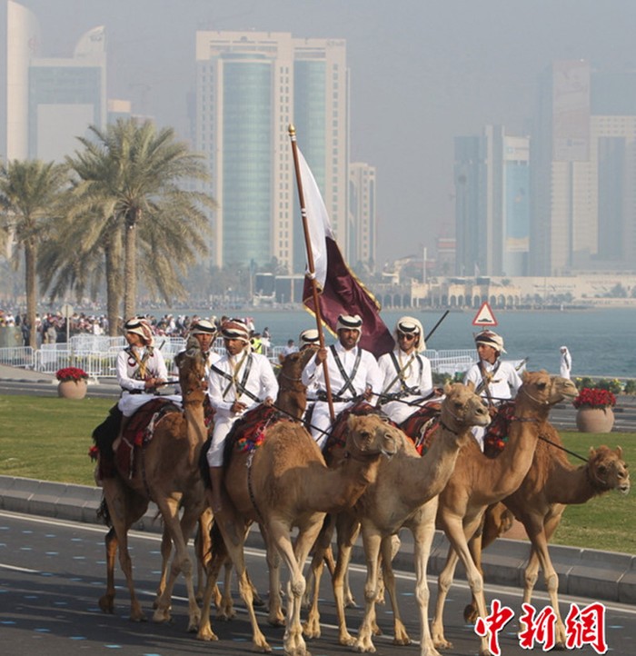 Lạc đà cũng là phương tiện chiến đấu của quân đội Qatar