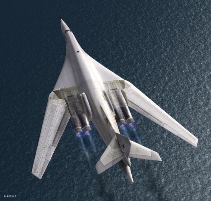 TU-160 có thể mang các loại tên lửa hành trình chiến lược, tên lửa có hướng dẫn tầm ngắn, bom hạt nhân, bom thông thường, địa lôi và thuỷ lôi, với tổng trọng lượng tối đa 40 tấn
