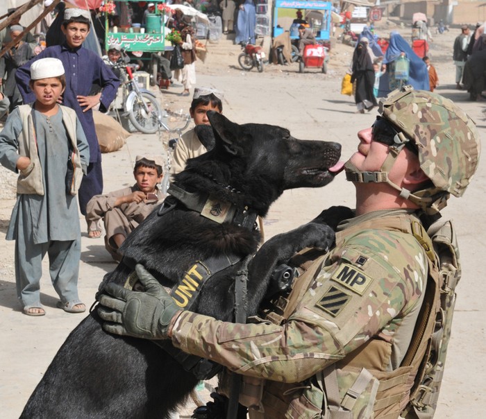 Một người lính trinh sát thủy quân lục chiến Mỹ và chú chó của mình khi thực hiện nhiệm vụ tại Afghanistan.