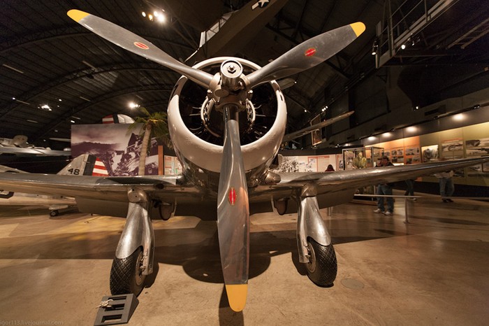 Máy bay P-35 tang bị 2 khẩu súng máy 0.30 in, 2 khẩu súng máy 0.50 in và có khả năng mang được tới 160 kg bom.