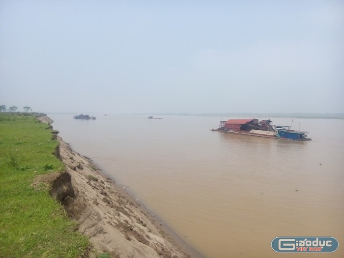Hàng ngày vẫn có những con tàu cuốc thi nhau tận thu khoáng sản trên sông Hồng qua địa bàn xã Vân Hà, huyện Phúc Thọ, Hà Nội (Ảnh Thanh Bình)