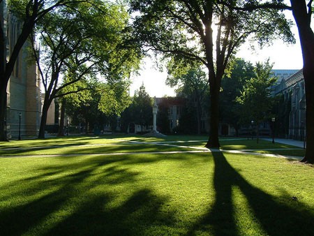 Đại học Princeton: Trường đại học Princeton nằm ở bang New Jersey, Mỹ. Ngôi trường được xây dựng theo phong cách Gothic với những mái nhọn, những kiến trúc bằng đá xám cùng những khoảng xanh xen kẽ.