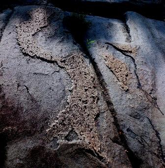Hình ảnh được tạo hóa khắc lên phiến đá giống bản đồ Việt Nam