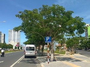 Đường phố Đà Nẵng