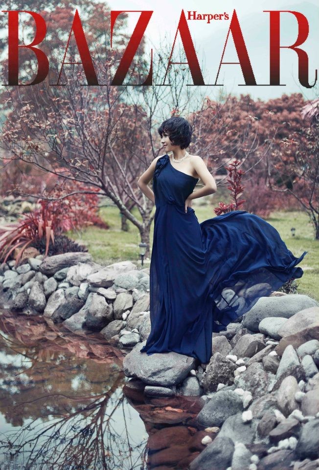 Gần đây, cư dân mạng xôn xao về bức ảnh chụp nữ ca sỹ Mỹ Linh mặc chiếc đầm xanh thẫm dài thướt tha tạo dáng trong khu vườn với phong cảnh tuyệt đẹp (được cho là tại ngôi biệt thư "trong mơ" của vợ chồng Anh Quân - Mỹ Linh), đăng trên trang bìa tạp chí Phong cách Harper's Bazaar. Ai nấy đều không khỏi ngạc nhiên về phong thái xuất thần của nữ diva nhạc Việt toát lên trong bức ảnh. Một hot blogger trên trang mạng xã hội không ngại dành tặng Mỹ Linh lời khen ngợi: "Diva không chỉ nằm ở giọng hát, hãy nhìn thần thái chị tỏa ra"...