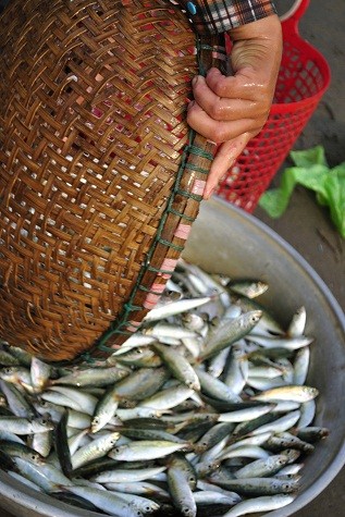 Giá trung bình của 1kg cá nục mua tại bãi là 30-40 nghìn đồng, cá mòi, cá ót từ 20-30 nghìn đồng/kg. Các loại hải sản giá cao như tôm, cua, ghẹ thường chỉ thu được với số lượng ít.