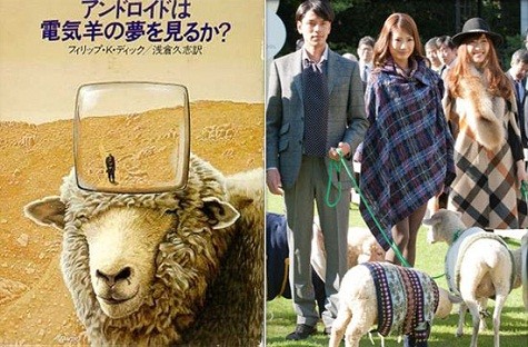 Khách sạn dành cho cừu đầu tiên trên thế giới tại Nhật Bản (Ảnh: VTC News)