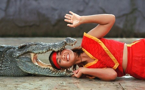 Một người phụ nữ đang mỉm cười khi đầu nằm gọn trong miệng của một con cá sấu tại vườn thú Sriracha Tiger ở Sriracha, Thái Lan.