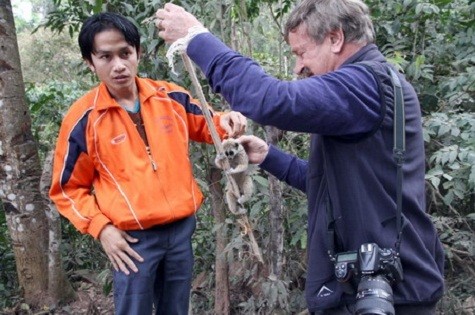 Tại một vùng gần biên giới Việt Nam, nhà hoạt động bảo vệ môi trường Karl Ammann đã mua từ người dân một con cu li, một loài thuộc họ linh trưởng.