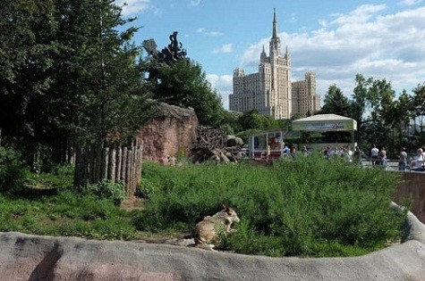 Vườn thú Moscow thành lập năm 1864 và là một trong những sở thú lâu năm nhất ở châu Âu. Đây là nơi cư trú của 1.127 loài động vật khác nhau. Chi phí bảo tồn lấy từ nguồn bán vé...
