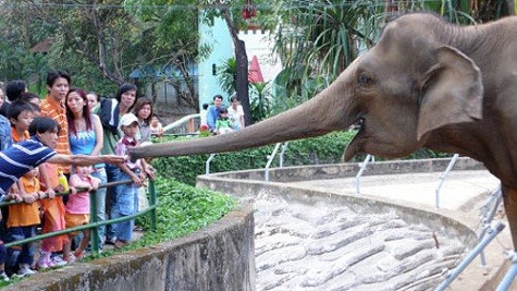 Thảo cầm viên ở thành phố Hồ Chí Minh là một trong những vườn thú lâu đời nhất thế giới. Được Pháp xây dựng từ năm 1864, nơi đây có rất nhiều loài cây quý hiếm và là nơi cư trú của hàng nghìn loài động vật.