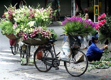 Hàng hoa bán rong trên một con phố Hà Nội (Ảnh minh họa)
