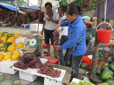 Trong khi thị trường miền Bắc nhất là Hà Nội, nho Tàu đội lốt nho mỹ được bày bán tràn lan trên các con phố thì...