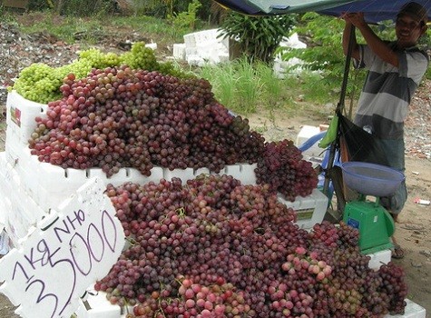 “Nho Việt Nam” giá 35.000 đồng/kg được bày bán tại nhiều con phố trên địa bàn Hà Nội.