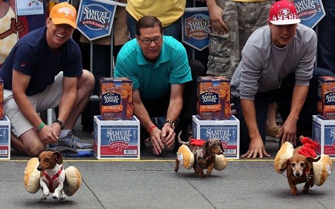 Chó mặc trang phục hot dog chạy đua 'Running Wieners' hàng năm ở Cincinnati, Mỹ