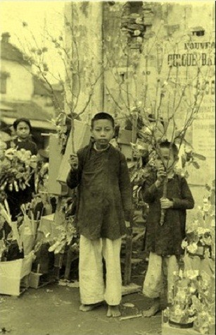 Hai anh em bán hoa đào ở chợ Tết
