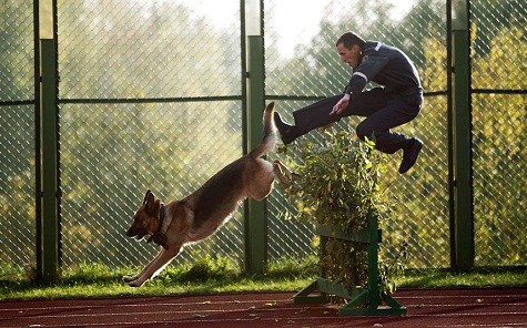 Một sĩ quan đang nhảy theo con chó của mình tại căn cứ gần làng Gorany