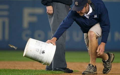 Một người quản lý đang cố gắng bắt con chim nhỏ với một cái xô tại sân vận động Yankee ở New York.