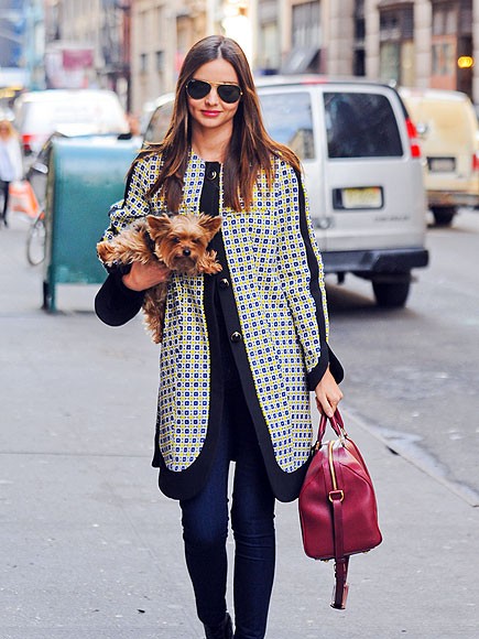 Thiên thần của Victoria Secret's Miranda Kerr ôm chú cún cưng Yorkie Frankie dạo phố New York. Có vẻ Miranda rất thích chiếc túi màu đỏ cô đang xách, nó đã theo cô rất nhiều lần trong các chuyến đi.