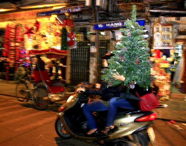 Cây thông và những món quà bắt mắt tô điểm cho phố phường Hà Nội thêm lung linh