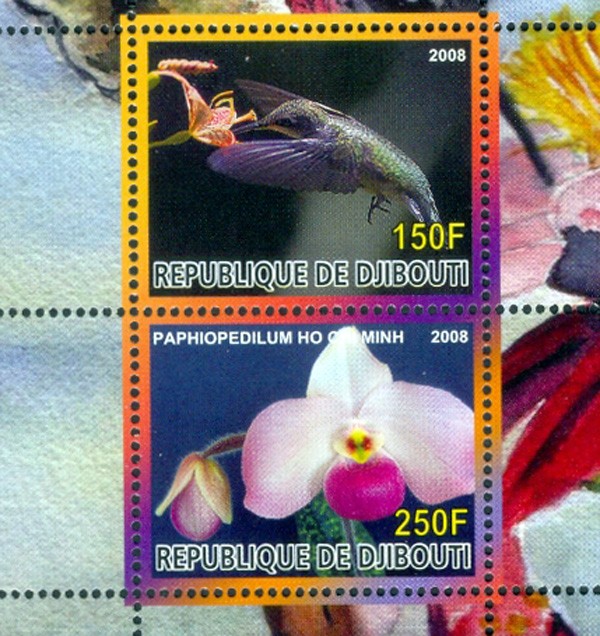 Năm 2008, Cộng hòa Djibouti (vùng Đông Phi) đã phát hành một block gồm 2 tem về hoa lan và chim ruồi, trong đó mẫu tem 250 Djibouti franc giới thiệu cây lan hài mang tên Chủ tịch Hồ Chí Minh (Paphiopedilum Ho Chi Minh).