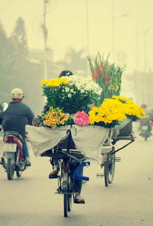 Những chiếc xe đạp hối hả từ chợ hoa đêm Quảng Bá tỏa đi khắp phố phường