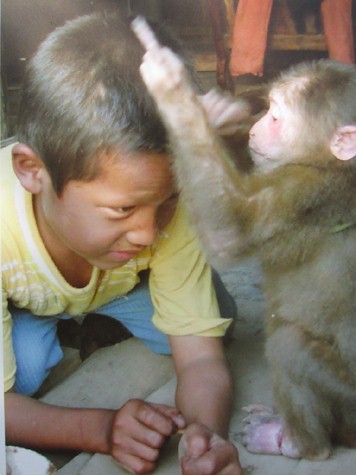 Sống giữa núi rừng, trẻ em thường bắt động vật về thuần hóa để chơi cùng. Trong ảnh là em Hồ Văn Sức cùng chú khỉ hơn 1 năm tuổi.