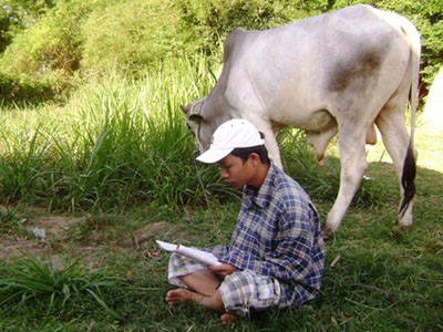 Đi chăn bò nhưng Võ Văn Huy luôn mang theo sách để tự ôn luyện
