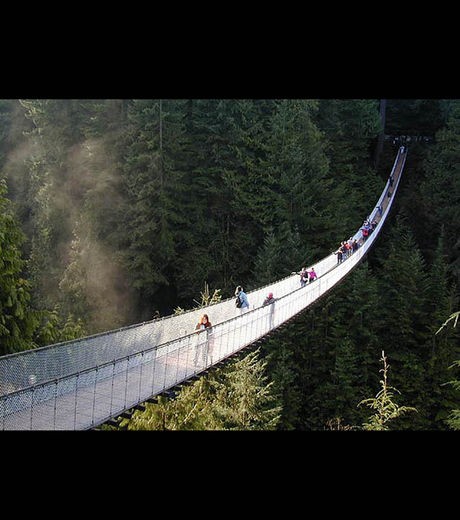 Cầu có độ dài 136 mét...