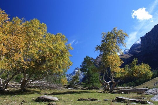 Khu bảo tồn thiên nhiên Ristolas Mont-Viso nằm trên dãy Alpes (biên giới Pháp và Italia), sở hữu vẻ đẹp vô cùng hoang sơ.