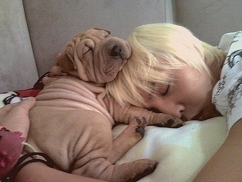 G-Dragon ngủ vẫn không quên ôm ấp thú cưng.
