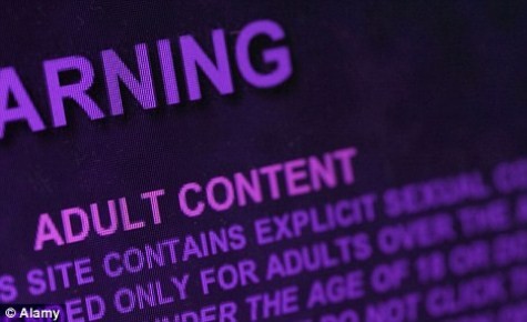 Nội dung của những phim khiêu dâm trên mạng internet có thể gây tổn hại đến khả năng của thanh thiếu niên trong việc duy trì những mối quan hệ bình thường