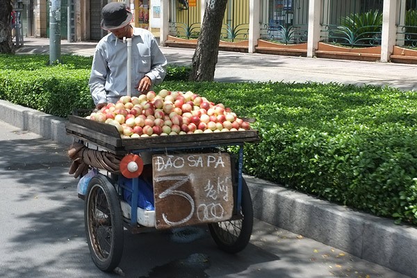 Những xe hàng rong bán đào "Sa pa" này len lỏi khắp các đường phố Sài Gòn.