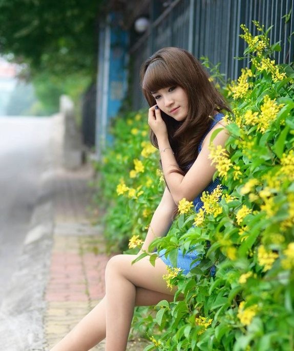 Rồi lại e lệ nép mình bên hàng cây hoa vàng xinh, nữ sinh đại học Hà Nội dịu dàng như tia nắng chiều cuối thu.