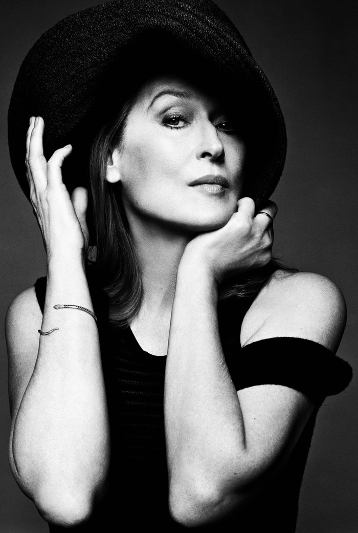Kiêu kỳ, quyến rũ, ẩn hiện chút quyền lực, Meryl Streep rất giống nữ bá tước đài các, sang trọng của hoàng gia Anh.