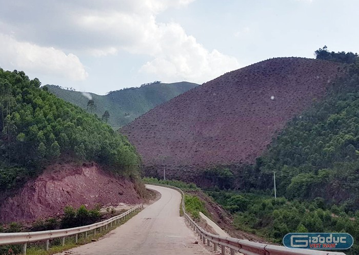 Từ tỉnh lộ 293 đi Bắc Giang, nhiều cánh rừng phòng hộ bị phá tan.