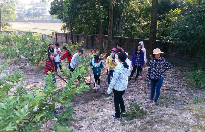 Một giờ học thực hành chăm sóc cây ăn quả của học sinh Trường Trung học cơ sở Lê Lợi tại vườn mẫu gia đình bà Lê Thị Nụ (ở thôn Tân Tiến, xã Lê Lợi). (Ảnh: CTV)