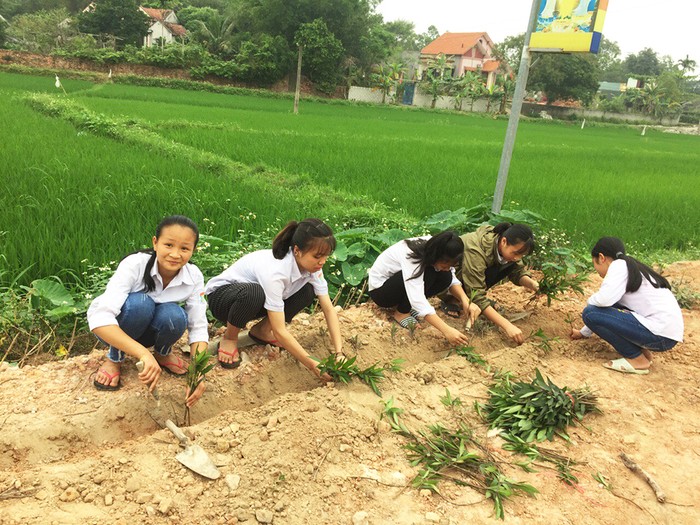 Học sinh thực hành trồng hoa, cây cảnh tại ven đường góp phần xây dựng nông thôn mới tại thôn Tân Tiến, xã Lê Lợi. (Ảnh: CTV)