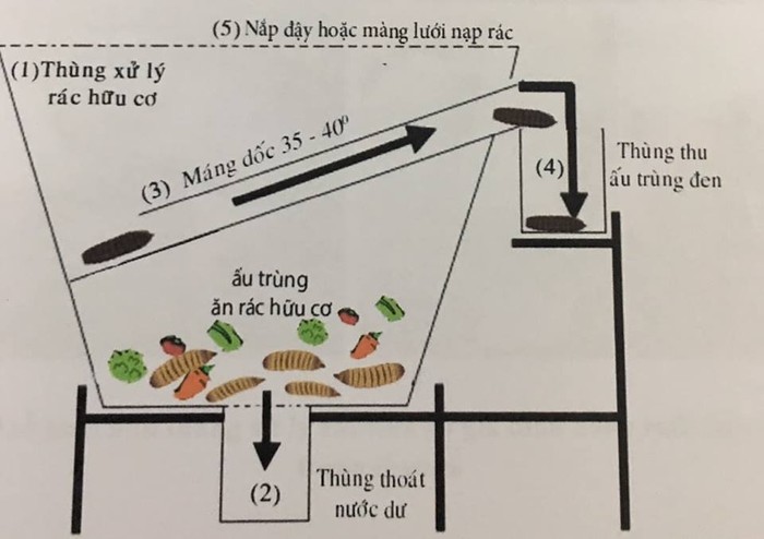 Bản thiết kế thùng rác chứa ấu trùng ruồi lính đen của Thu Phương và Thanh Mai (Ảnh: LT)